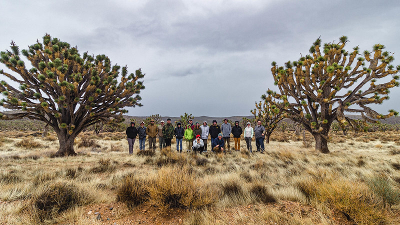 Wee Thump Joshua Tree Wilderness Area